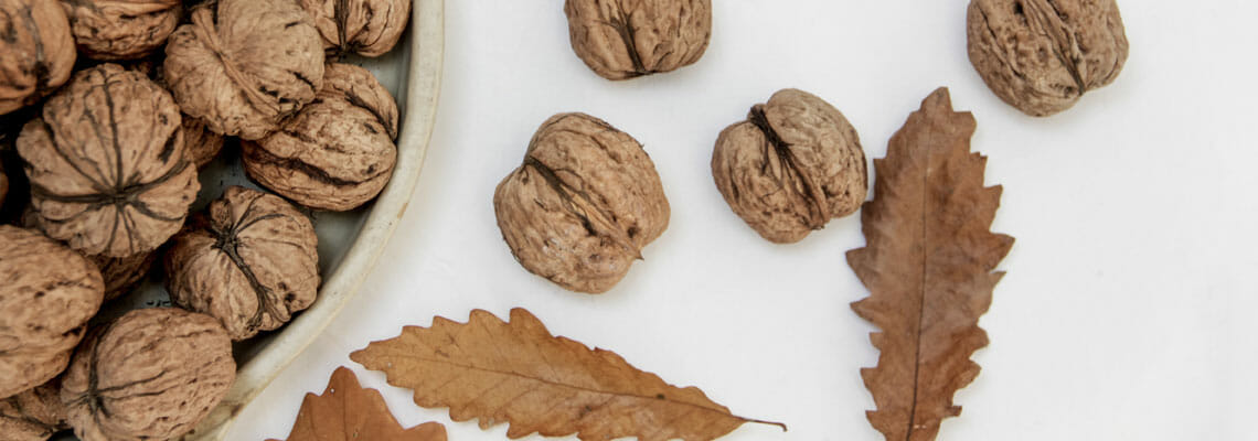 Buckeye Interactive Gives Back - acorns, leaves