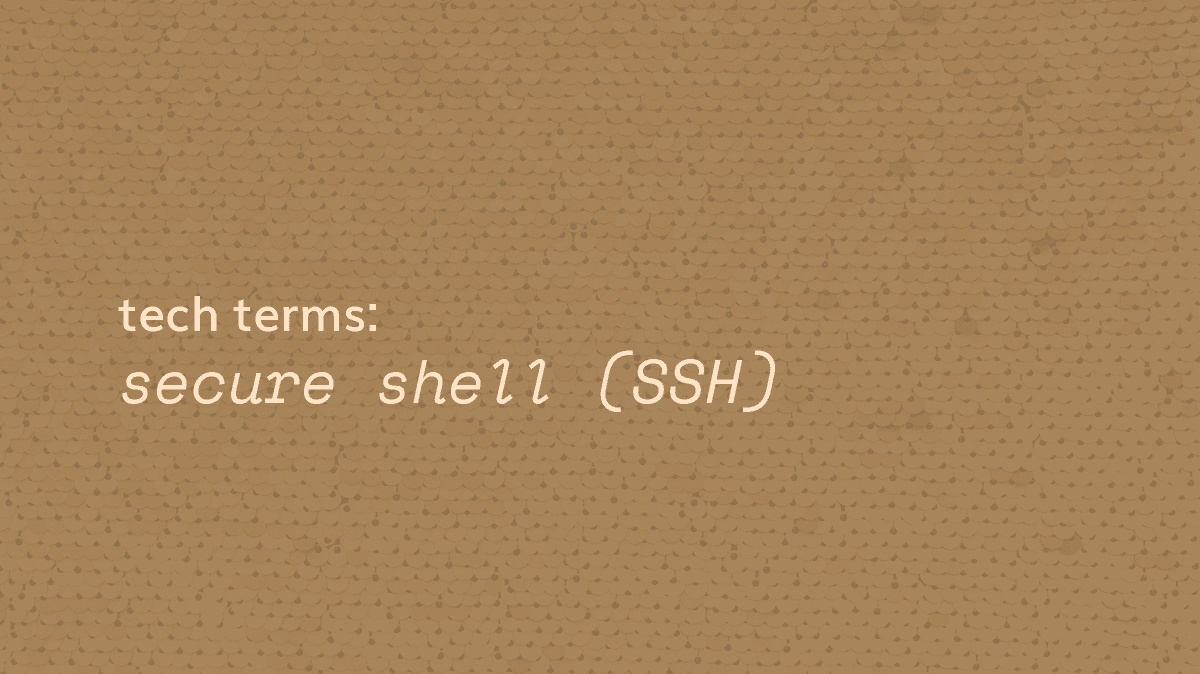 Tech Terms What Is Secure Shell Ssh Buckeye Innovation Tech Terms What Is Secure Shell Ssh Buckeye Innovation
