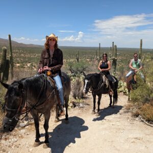 3 people riding horses through the desert