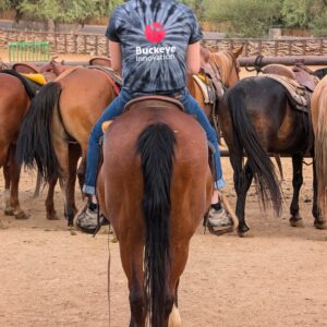 The back of a person on a horse. Their t-shirt says "Buckeye Innovation."